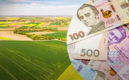 Українцям пояснили, коли потрібно сплачувати земельний податок