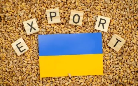 Молдовські фермери виступили проти 50% знижки для українського зерна