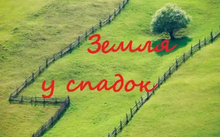 Яку землю в Україні може успадкувати іноземець та коли її доведеться продати