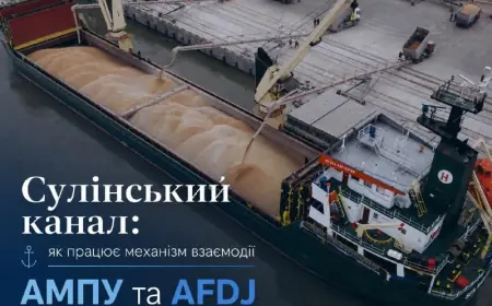 Сулінський канал: у АМПУ пояснили, як формується черга суден до українських портів