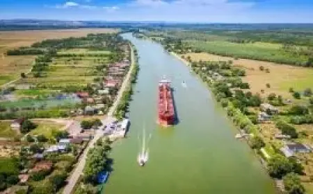 Пропозиції фрахту костерів у Рені та Ізмаїлі майже вичерпано