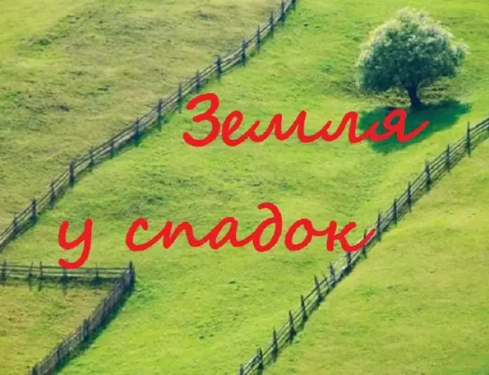 Яку землю в Україні може успадкувати іноземець та коли її доведеться продати