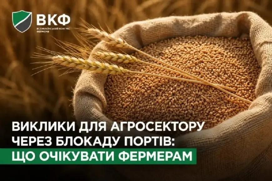Виклики для агросектору через блокаду портів: що очікувати фермерам