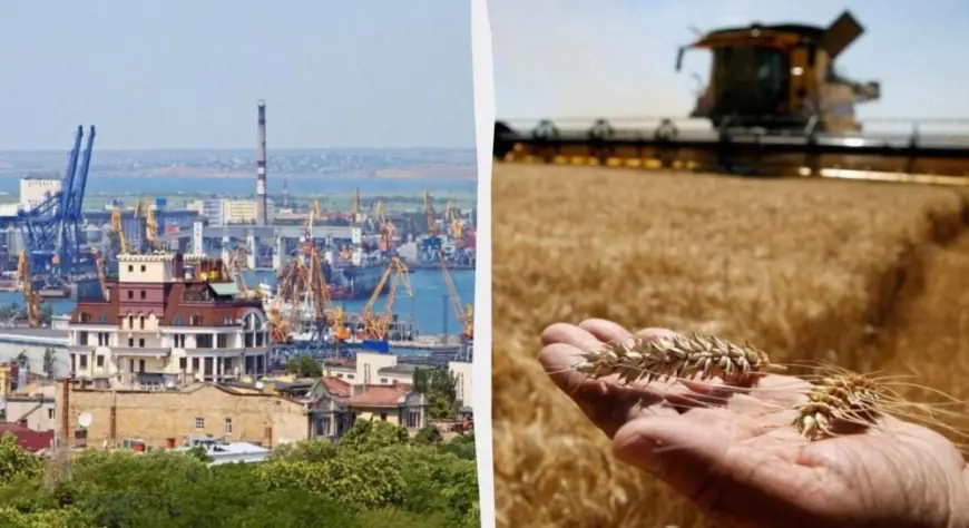 російські удари по десятках зерновозів біля України загрожують світовим поставкам їжі, — NYT