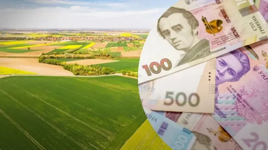 Українцям пояснили, коли потрібно сплачувати земельний податок