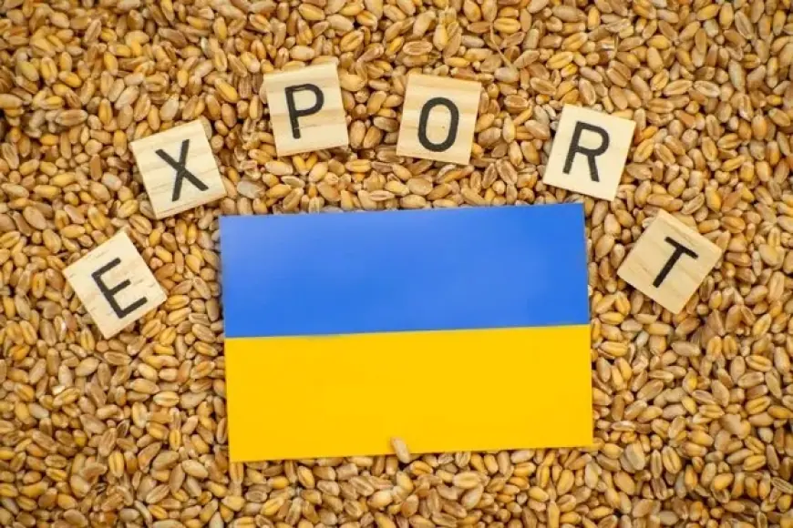 Молдовські фермери виступили проти 50% знижки для українського зерна