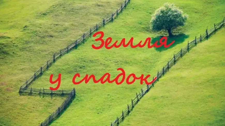 Яку землю в Україні може успадкувати іноземець та коли її доведеться продати