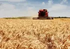 Банки не поспішають впроваджувати нові інструменти пільгового кредитування для аграріїв, — Денис Марчук
