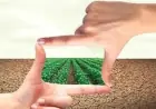 Чи можна продати пай, який перебуває в оренді