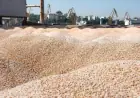 Атаки на порти Одещини перекроюють світовий ринок зерна