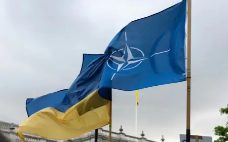 Новий формат безпеки ЄС може наблизити Україну до НАТО, —  Сяурусявічюс