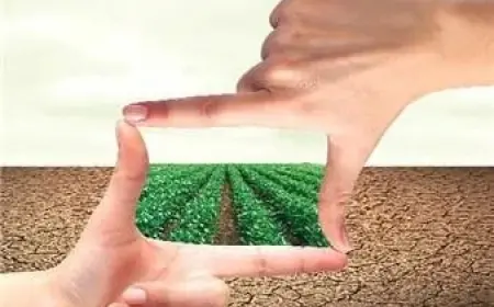 Чи можна продати пай, який перебуває в оренді