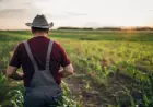 Як бухгалтерська підтримка від ВКФ допомогла фермеру із Запорізької області