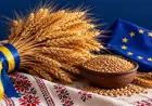Як фермерів підготувати до вимог ЄС