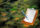 Під час воєнного стану безоплатна приватизація землі доступна лише у двох випадках