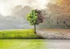 Зміна клімату змушує українських аграріїв переглядати технології