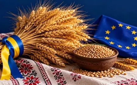Як фермерів підготувати до вимог ЄС