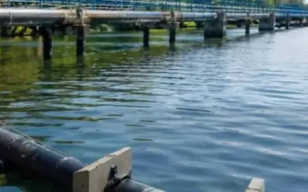 На Нижньому Дунаї планують відновити водосховища, рукави річки та зрошувальні системи