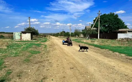 Чи варто на Одещині переїздити в село на зиму