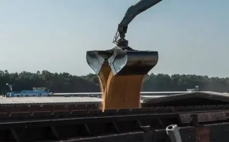 Судновласники не поспішають укладати нові угоди на перевезення зерна з Дунаю — ASAP Agri