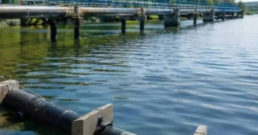 На Нижньому Дунаї планують відновити водосховища, рукави річки та зрошувальні системи